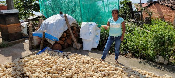 A farmer in Guerrero, Mexico examining her corn harvest