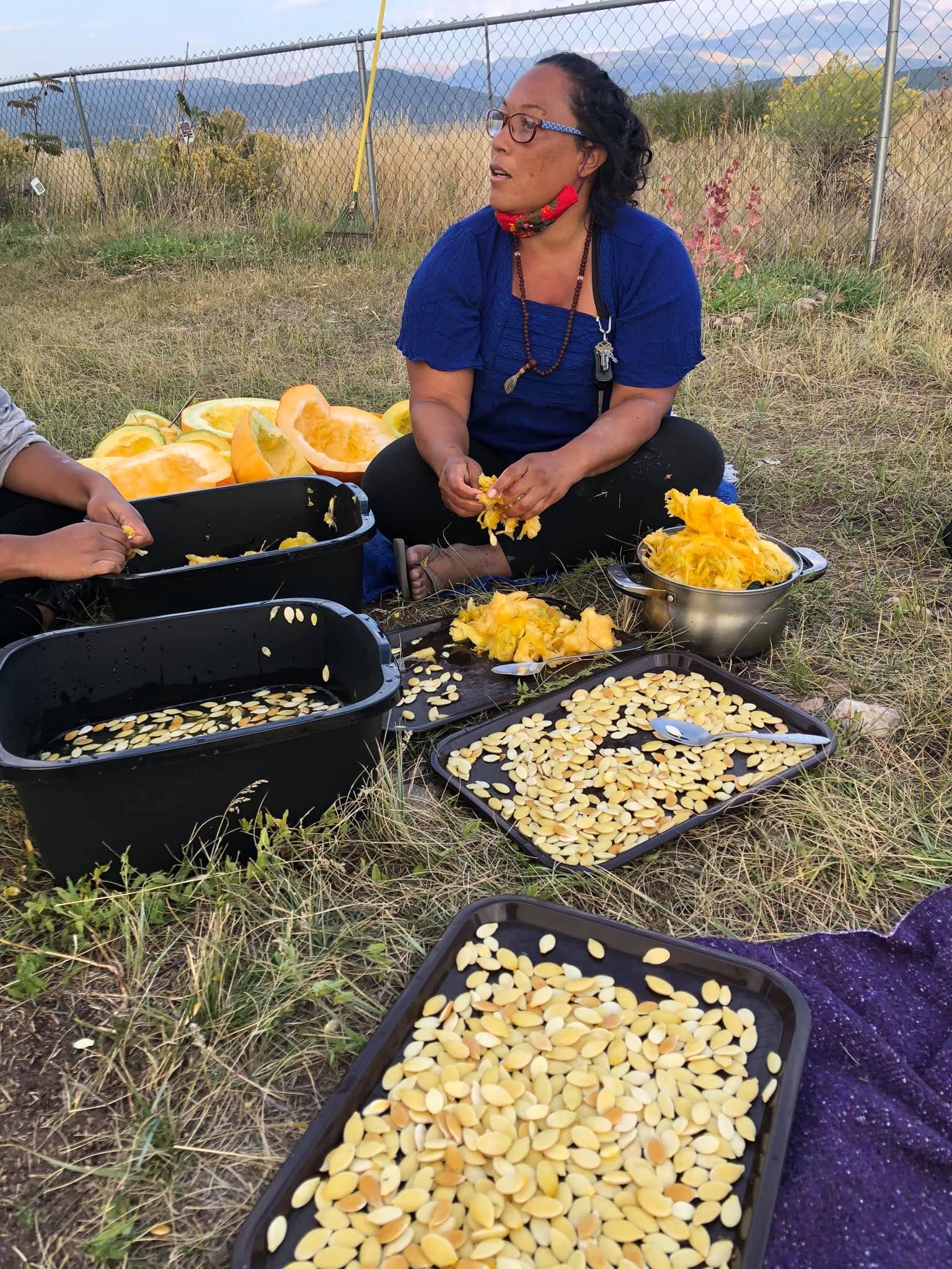 A seedkeeper sitting on the ground, pulling and washing seeds from native squash